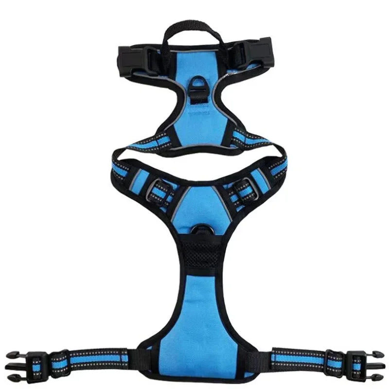 Reflective Mesh Harness