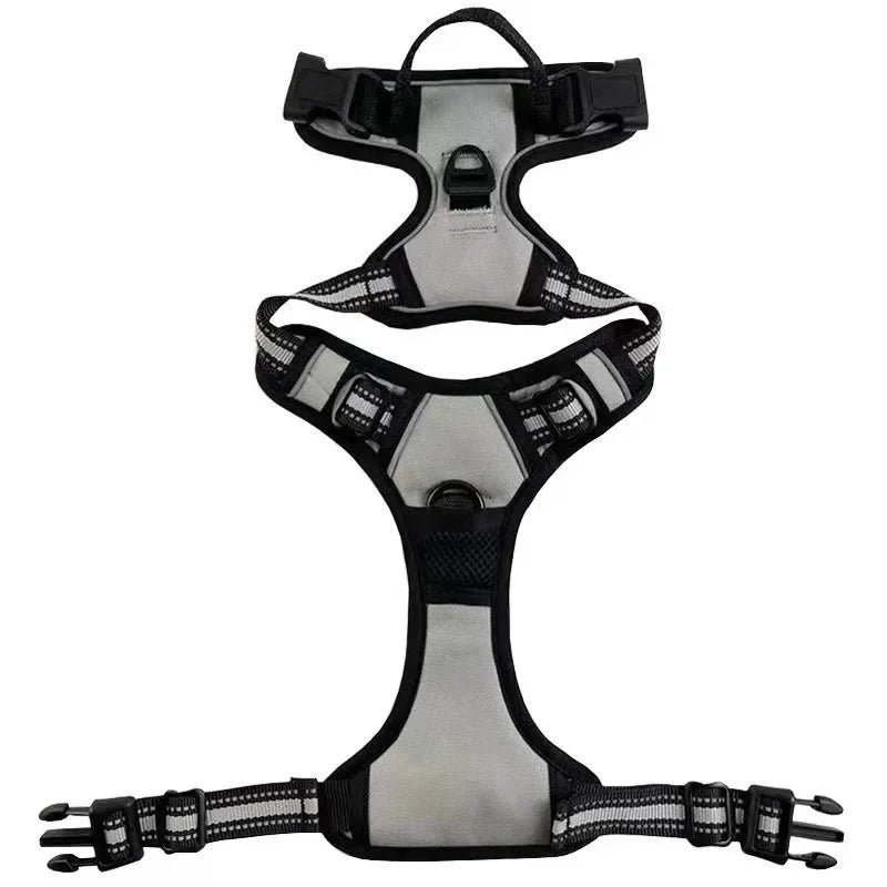 Reflective Mesh Harness