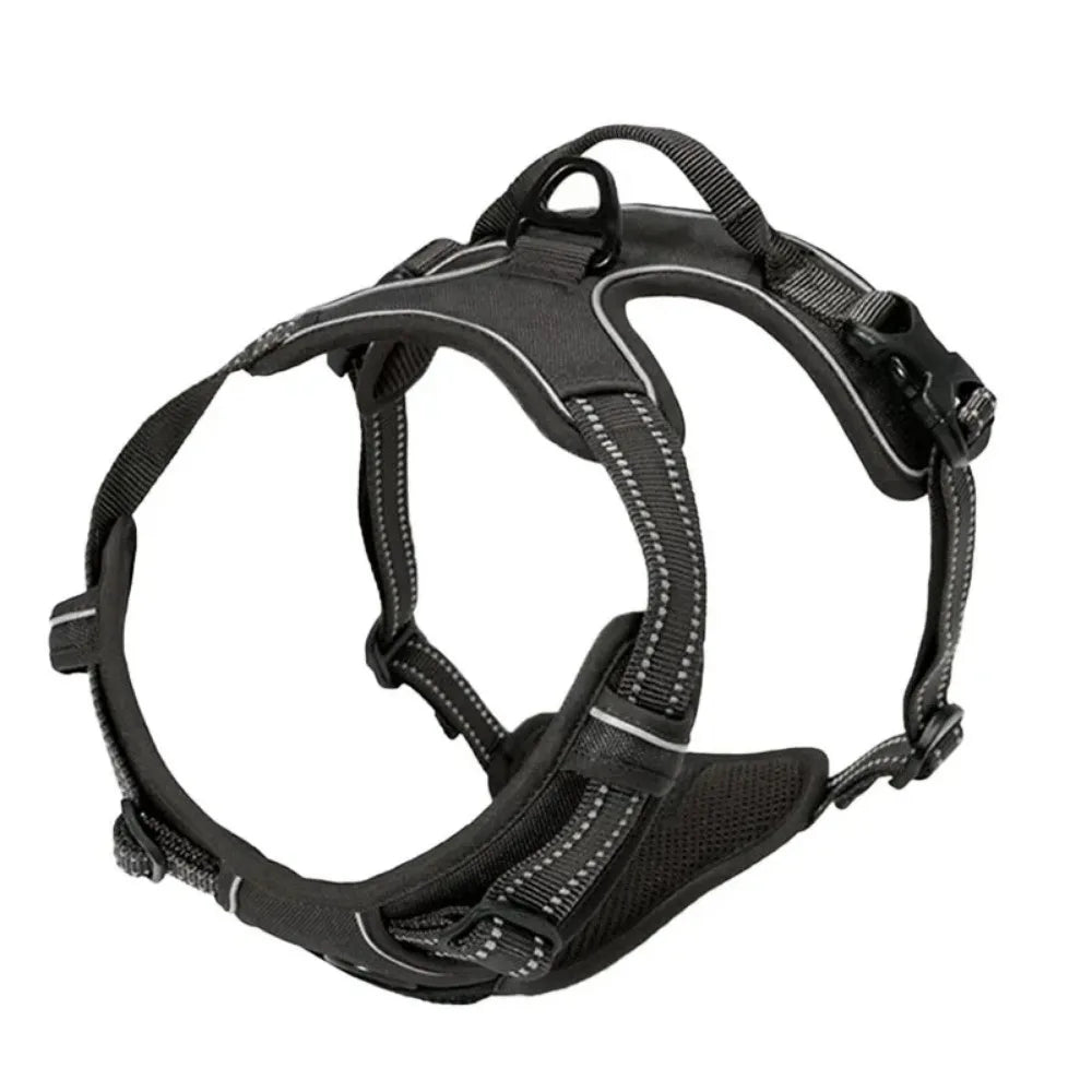 Reflective Mesh Harness