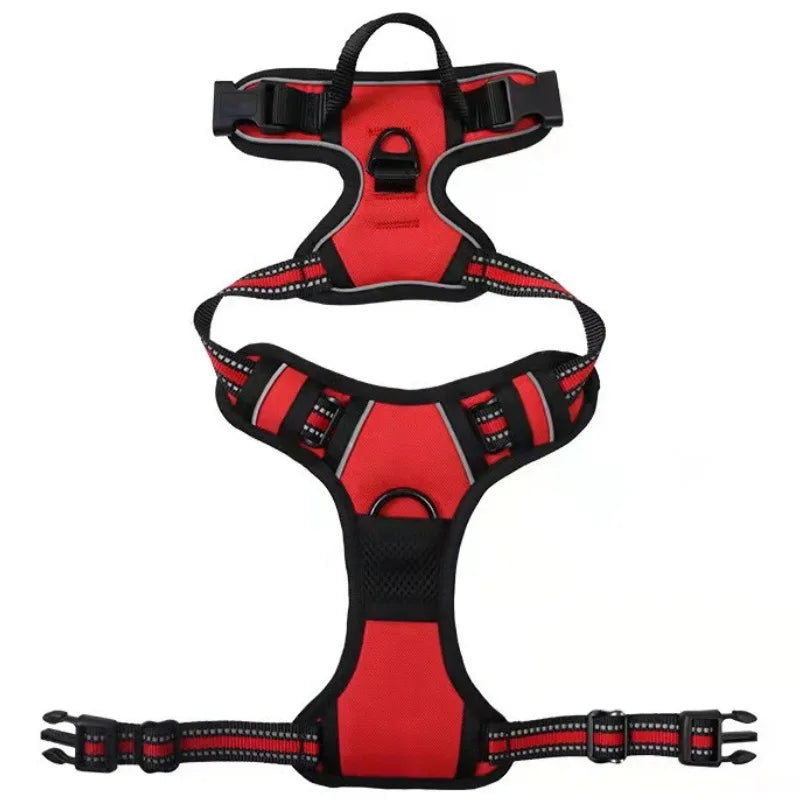 Reflective Mesh Harness