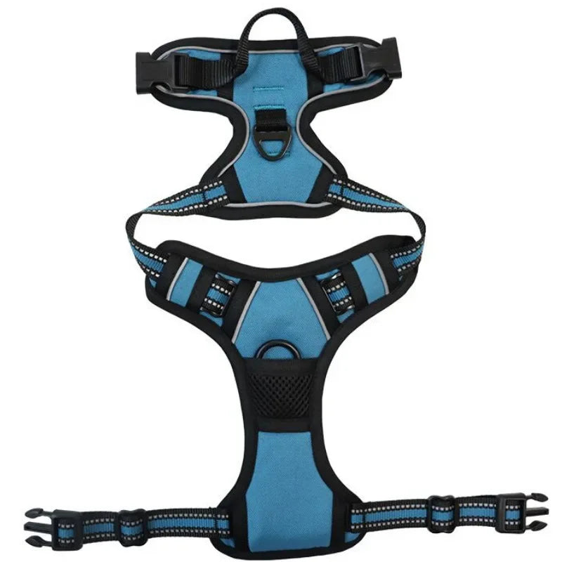 Reflective Mesh Harness