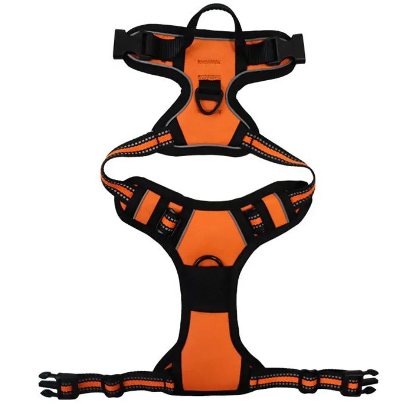 Reflective Mesh Harness