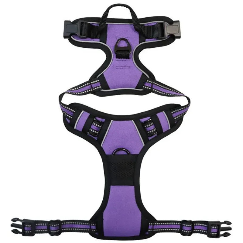 Reflective Mesh Harness