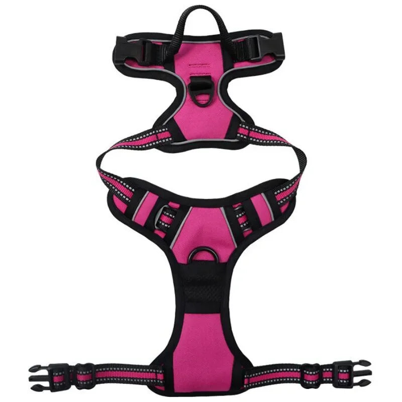 Reflective Mesh Harness
