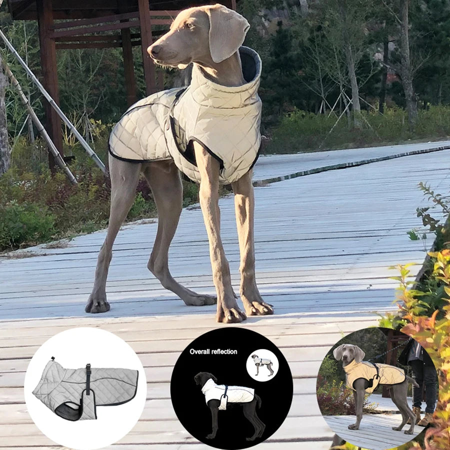 Reflective Luxe Dog  Coat